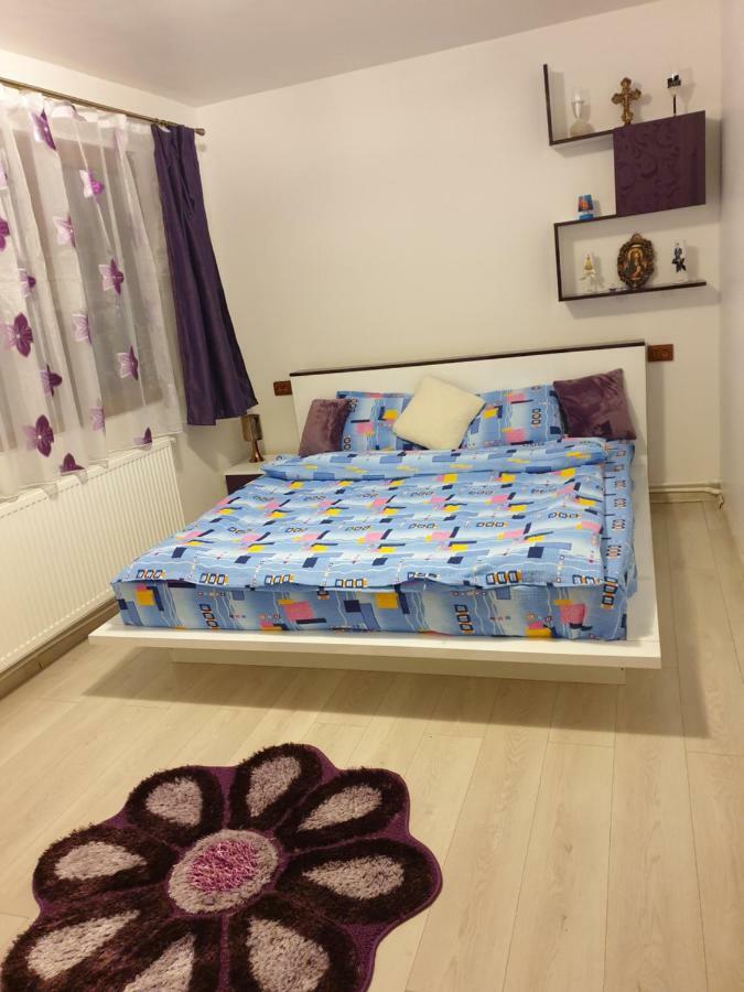 Apartament Oana'S Home Orsova Kültér fotó